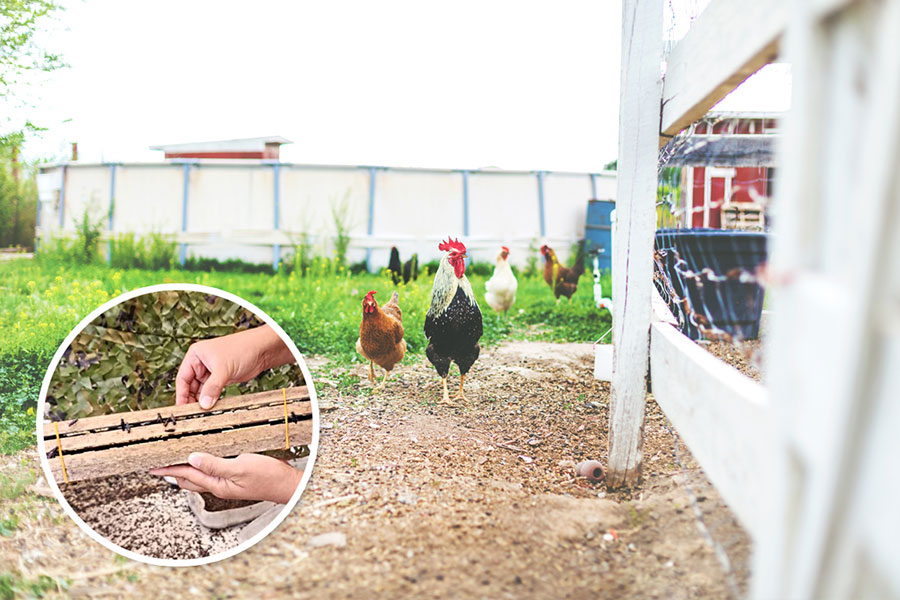 Combat Food Waste
