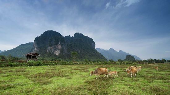 Karst mountains and surroundings