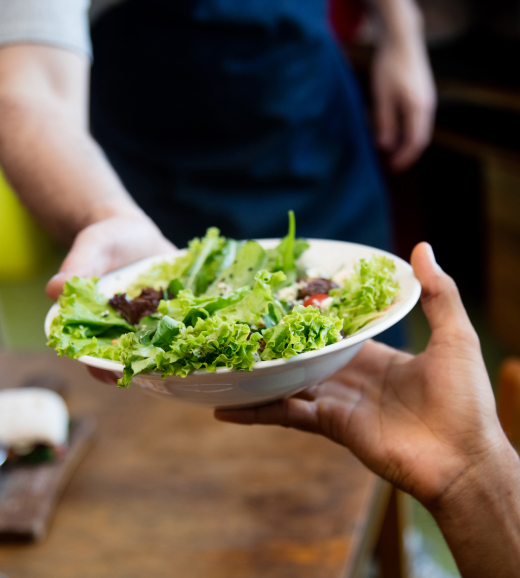 Eco-Friendly Dining Delights Eco-Friendly Dining Delights